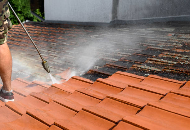 Best Pressure Washing Company Near Me  in Marlboro Meadows, MD