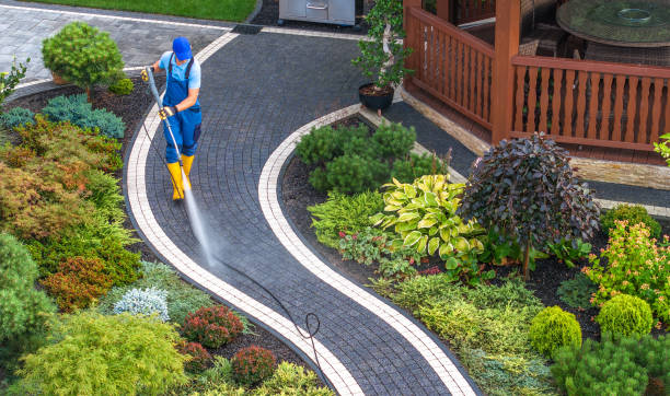 Best Pressure Washing Near Me  in Marlboro Meadows, MD